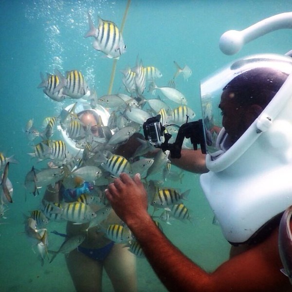 snuba adventure and fish