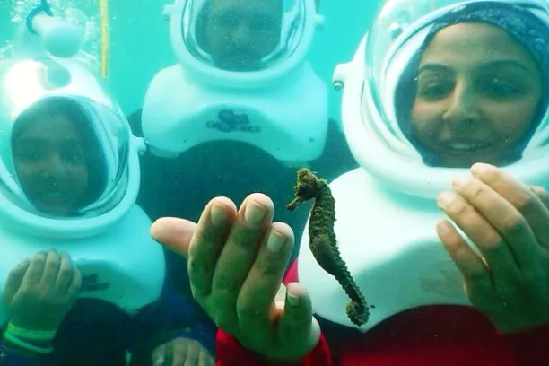 group snuba and seahorse