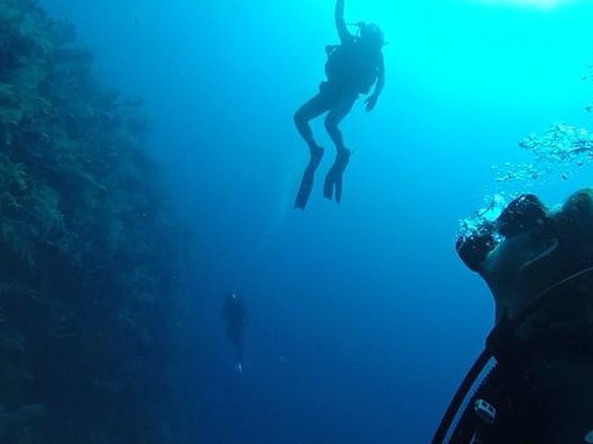 scuba diver