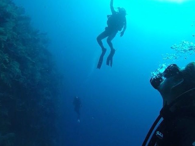 scuba diver