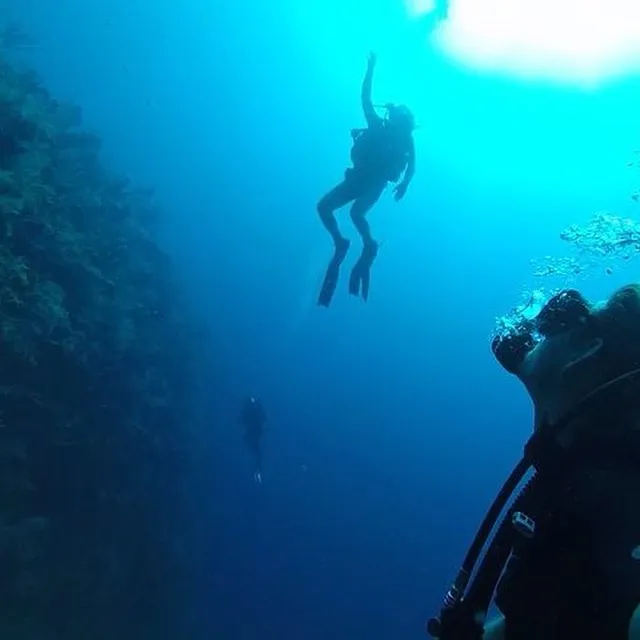 scuba diver