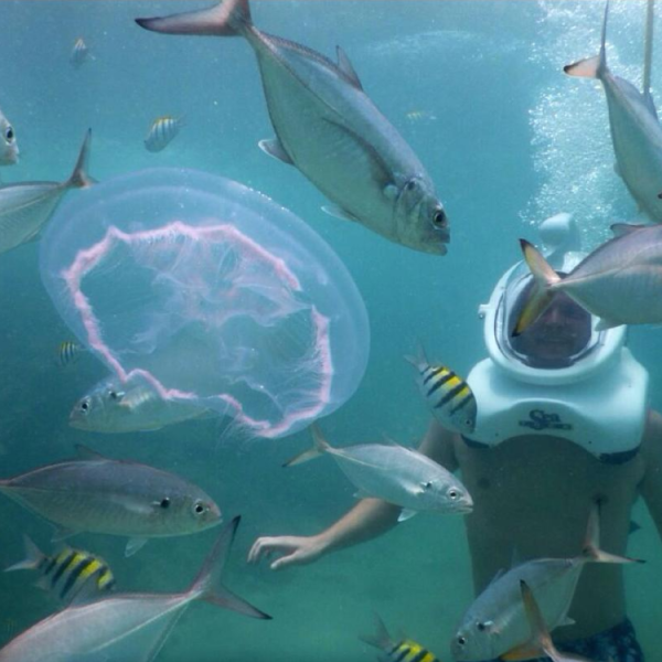 man snuba and fish