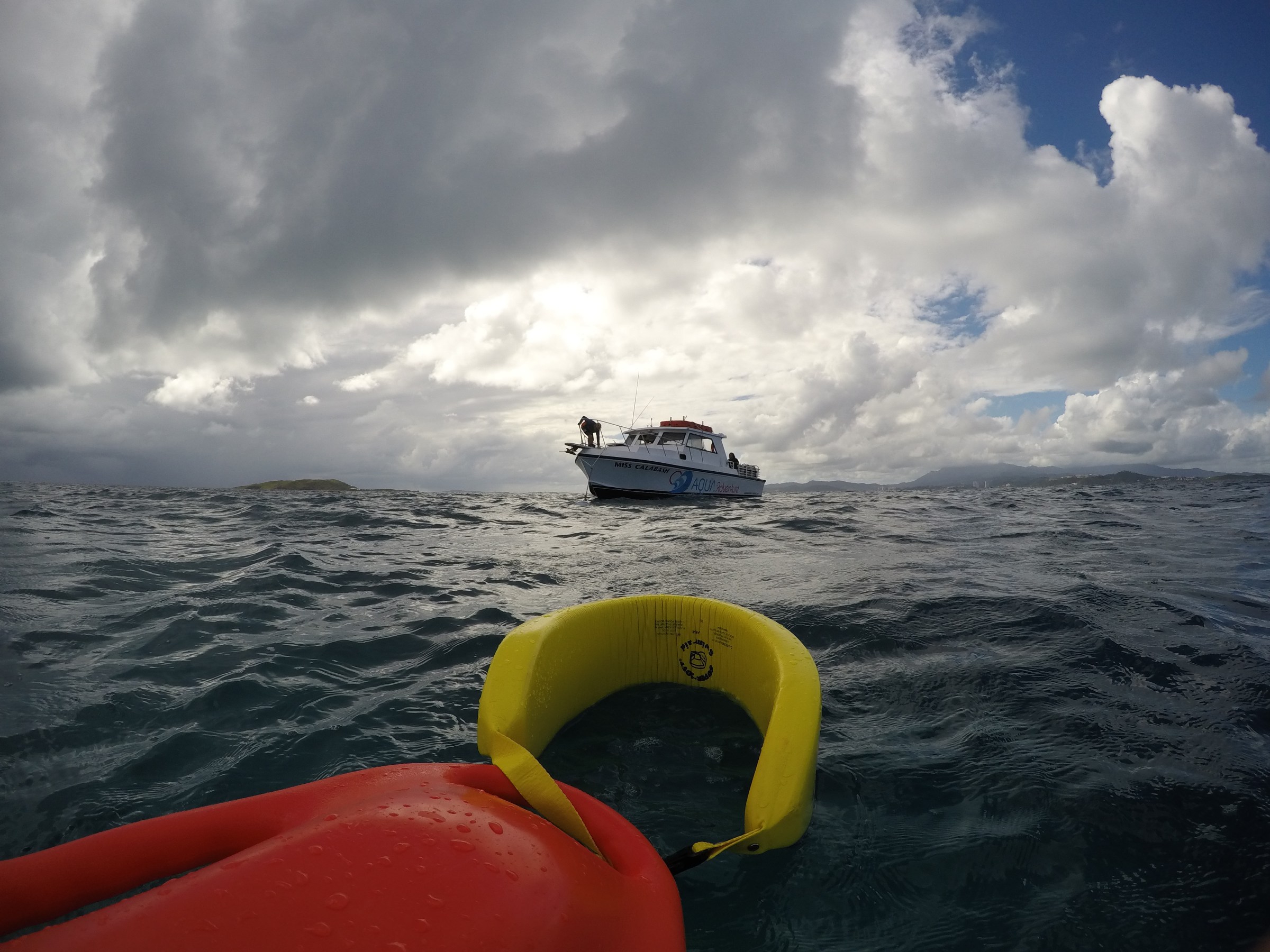 Floaties on water