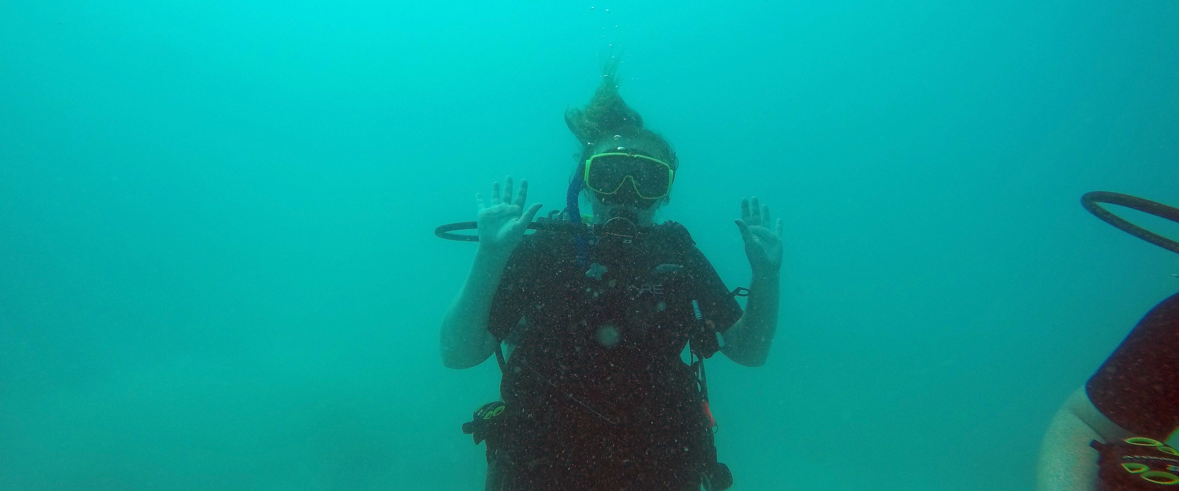Scuba diver