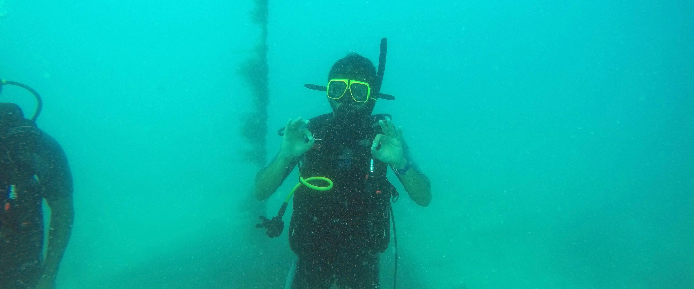 Scuba divers