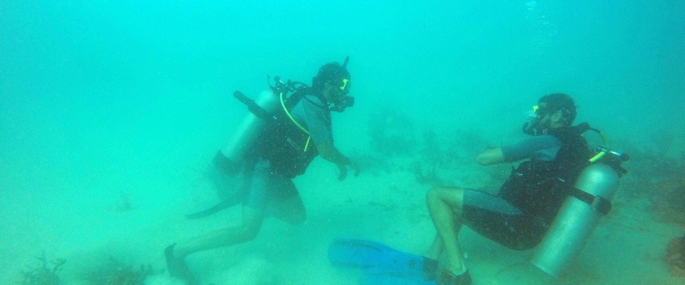 Scuba divers swimming near bottom
