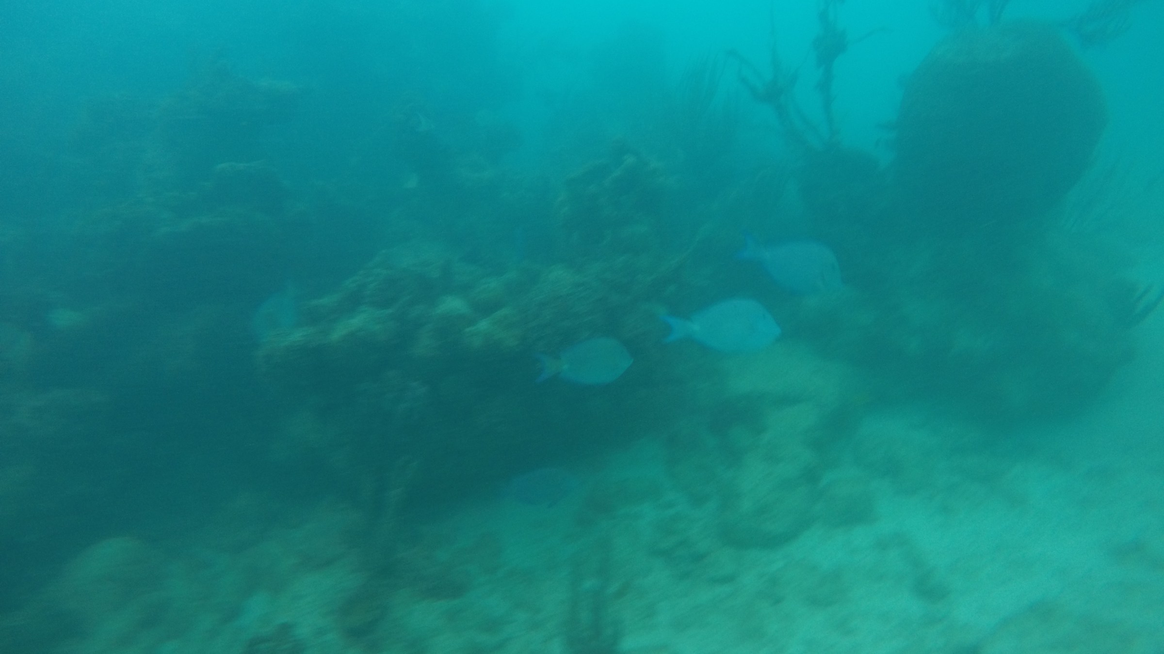 Deep sea diving