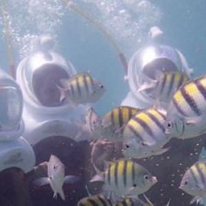 Four people wearing helmets like astronauts under water looking at brightly colored fish
