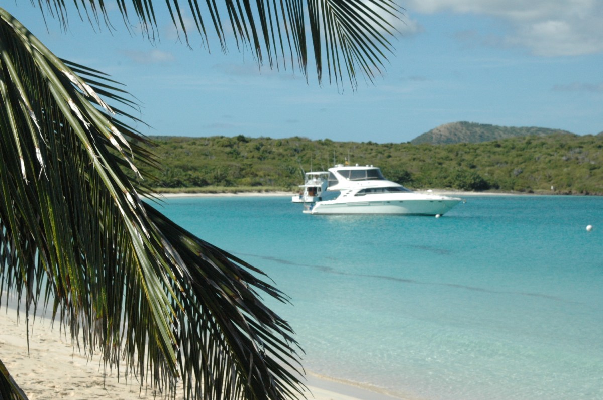 aqua adventure boat and palm tree