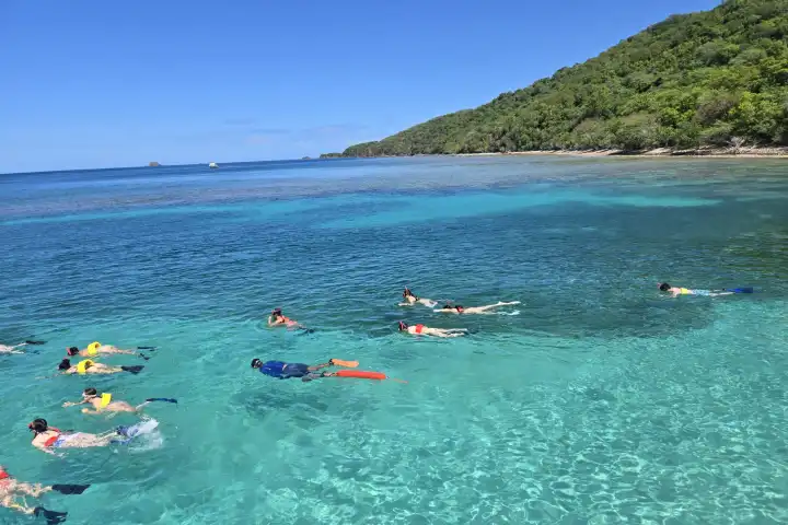 People snorkeling in clear turquoise water near a lush green island.