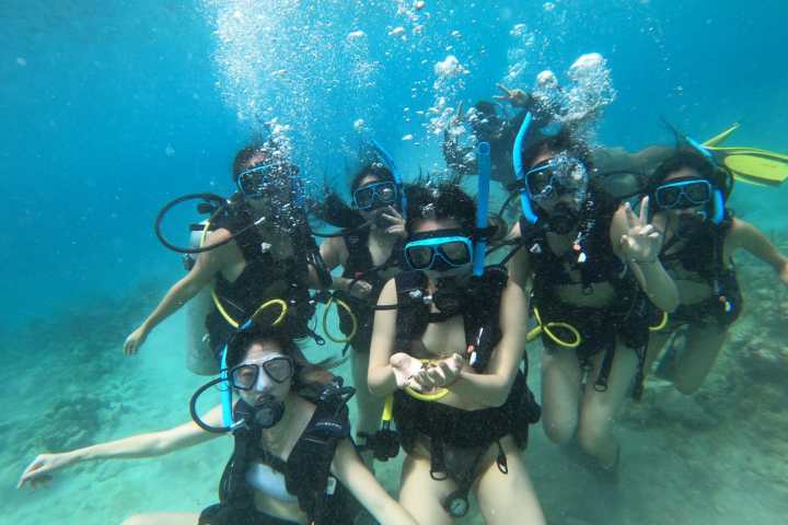 a group of people swimming in the water