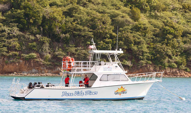 Pura Vida 46' Newton Scuba Diving boat