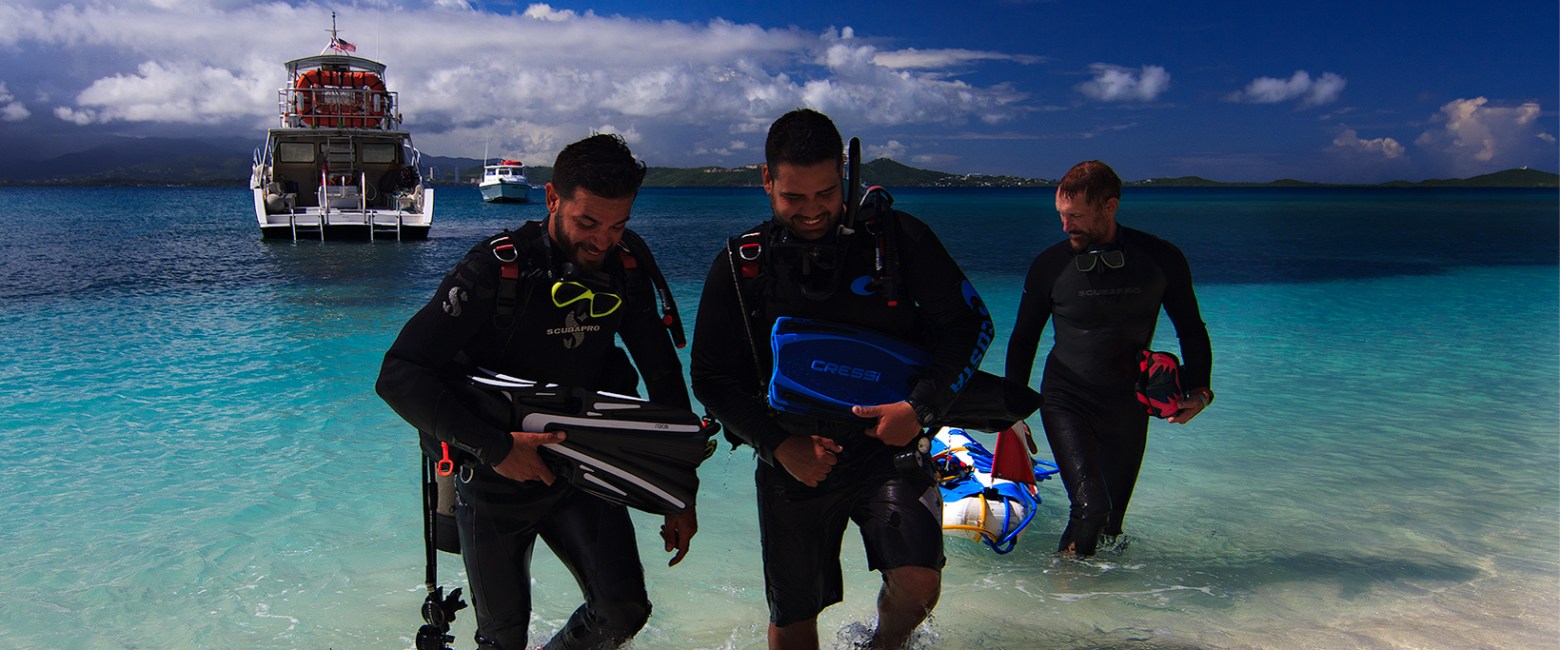 Scuba divers emerging onto beach
