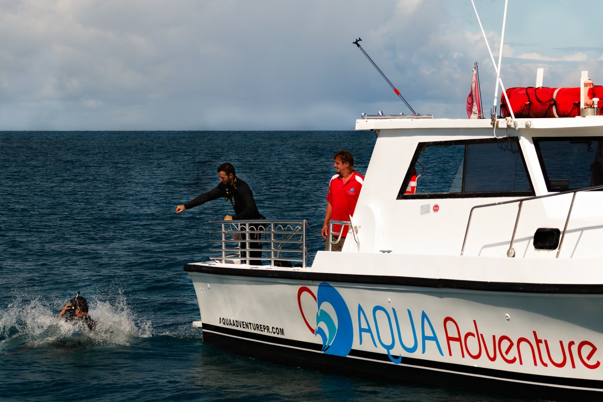 Scuba diver jumping into water from boat