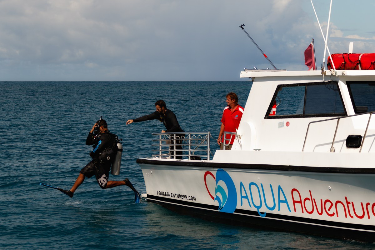 Boat Diver jumping into water from boat
